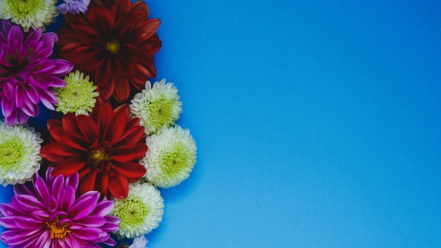 邓雅文则展 邓雅文则展