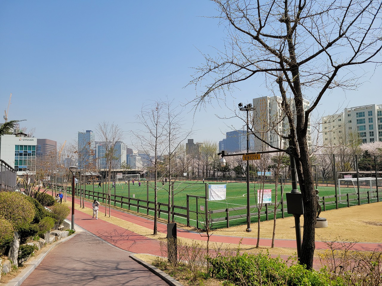 索内斯却提 索内斯却提