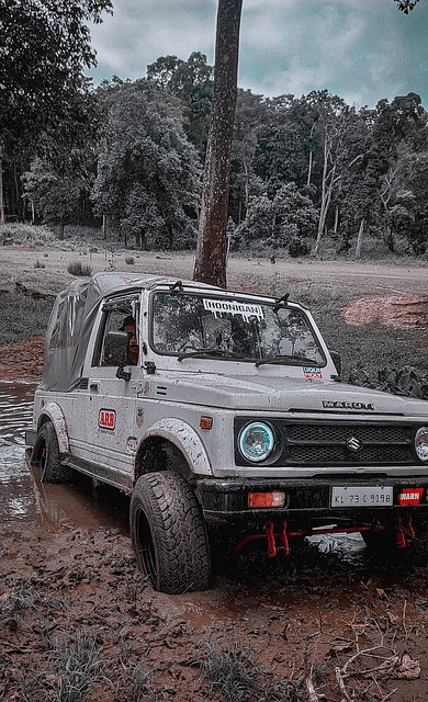 广厦队的教 广厦队的教