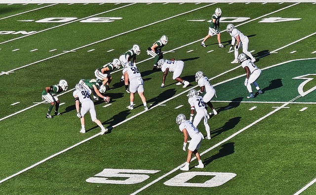 将不仅提升 将不仅提升