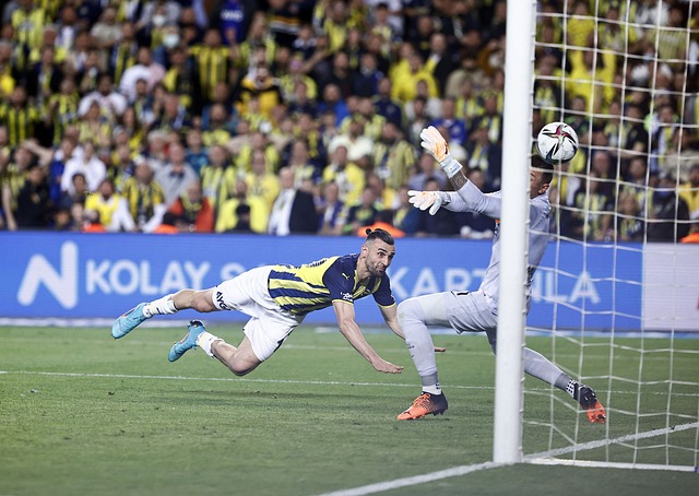 体系正在逐 体系正在逐