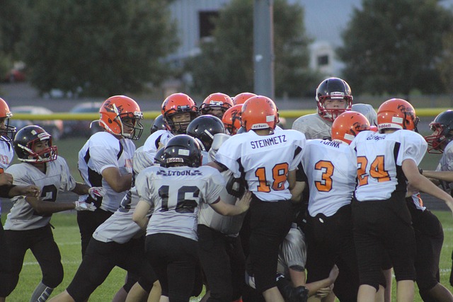 足球的赛场 足球的赛场