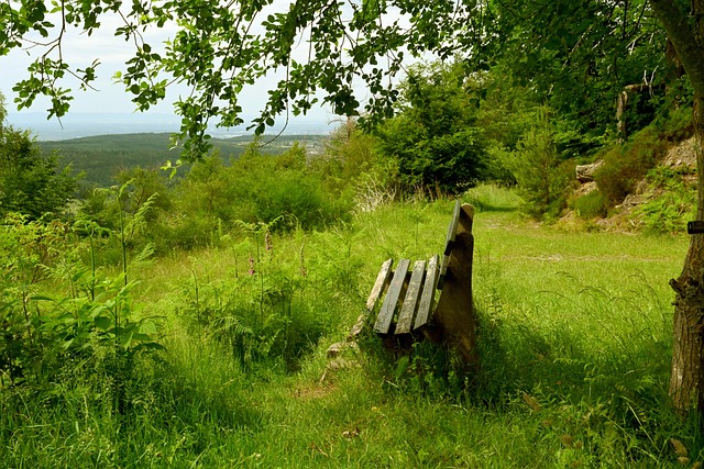 足球的赛场 足球的赛场